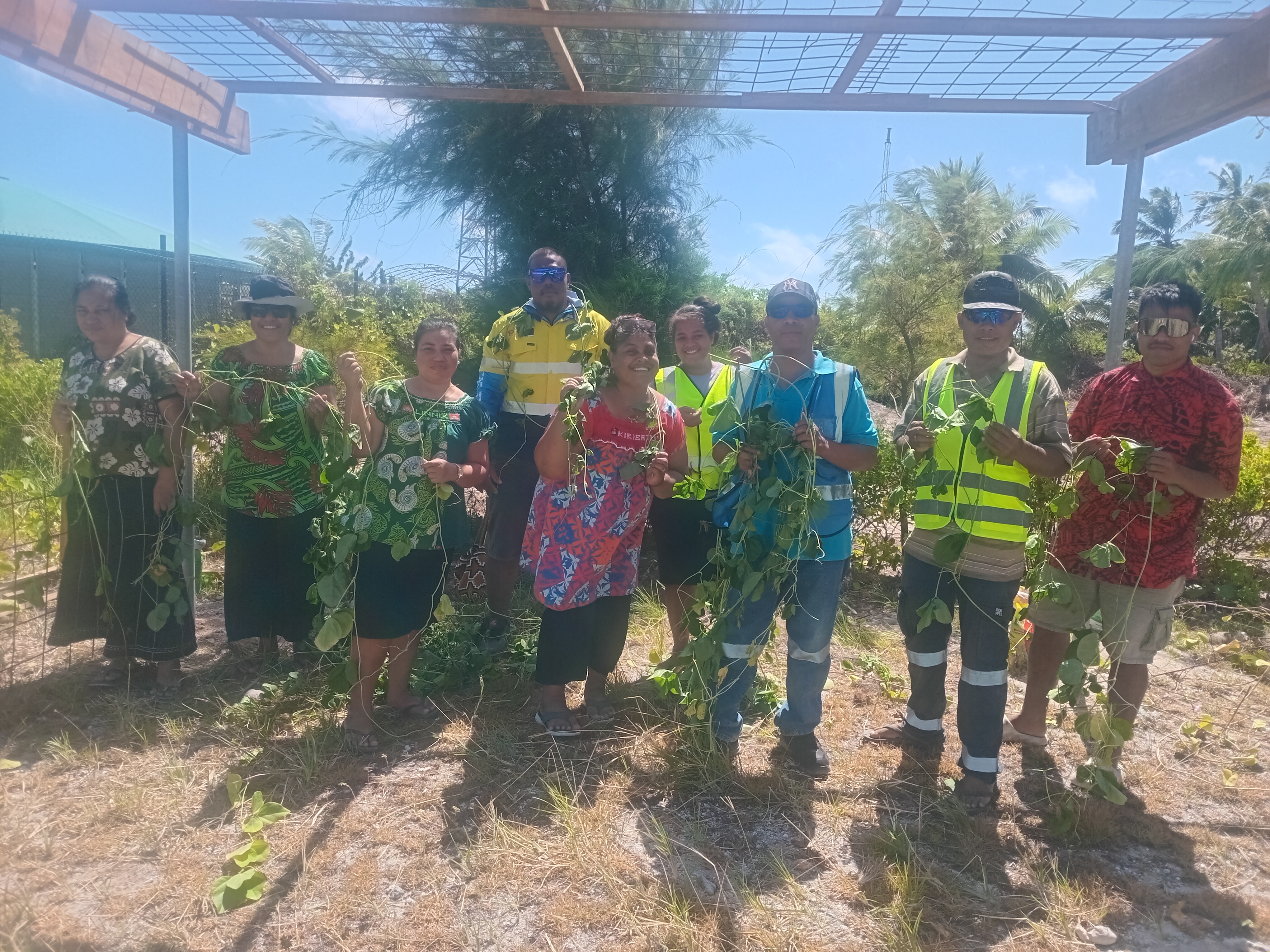 VIP Lounge Upgrades – Phase 1 Progress